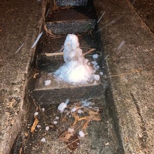 Meet your Posher, Jodie